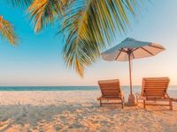 Consider These 3 Trades Amid Early Summer Rally