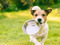 RDOG Follows Possible REIT Rebound
