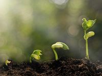 With This Active Fund, Re-Cycle Into Growth