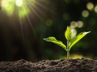 Schwab Advisor Study: Advisors Seek Growth Beyond AUM