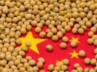 Commodity Investing: More Than Just China's Story