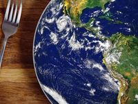 Food Crisis May Keep Ag Commodities Afloat