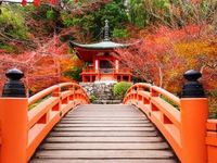 Japan May Fuel Gains for CVIE