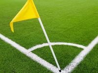 Free Cash Flow Levels the Playing Field