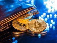 Examining Bitcoin Investment Case Foundation