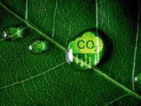 Voluntary Carbon Market Completes Framework for Credits