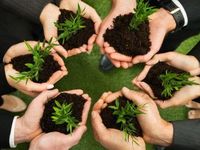 ESG Remains Important in the C-Suite