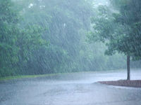 A Cool, Wet August May Temper Corn and Soybean Prices