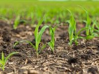 USCF Advisers Launch ZSC