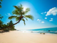 Charts for the Beach - 2023