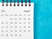 Starting August, Investor Optimism Takes a Hit