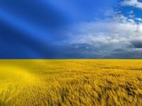 Supply Disruptions Lead to Wheat Price Volatility