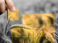 Push for Food Security in China May Affect Ag Commodities