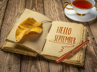 AllianzIM Launches New September Buffered ETFs