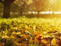 Innovator Lists New September Buffer ETF