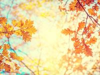 Fall Volatility May Signal Opportunity for This ETF