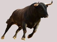 Tech Stocks Ripe for More Bullishness