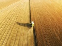 Vanguard Personalized Indexing's Tax-Loss Harvesting