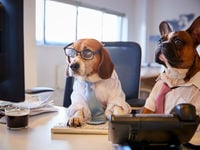 Eyeing Foreign Equities? Check These 2 ETFs First