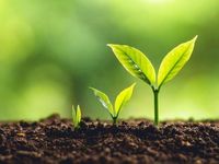 Bahl & Gaynor Launches Active Income Growth ETF