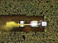 Even During Up Markets, Investors Can Harvest Losses