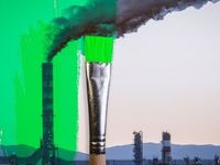 Responsibly Avoid Greenwashing With CVIE