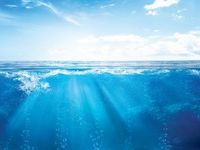 Bet on Blue in Sustainable Investing