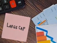 Mull Concentration Risk With This Large-Cap ETF