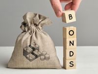 Who Are the Bond Vigilantes?