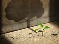 SRHR Uses Covered Call Strategy on REITs