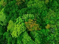MSCI Upgrades Enterprise’s ESG Rating to “A”