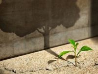 With VFLO’s Growth Filter, Avoid Value Traps