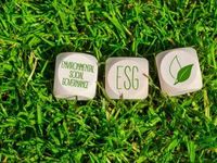 Among ESG ETFs, QQMG Has Rising Star Potential