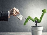 VFLO Combines Strong Free Cash Flows & Strong Growth
