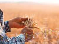 High-Yield Prospects: January 3 Edition