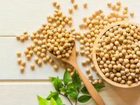 California Biofuels Plant Spurs Soybean Prices Higher