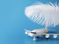 A Soft Landing Comes Into Focus