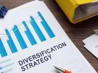 Unraveling Diversification Misconceptions