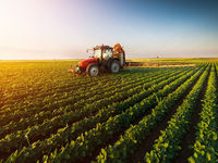 Long-Term Positive Expectations for Ag Commodities