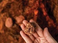 Copper Miners Cease Being a Contrarian Play