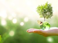 Clean Energy Growth Should Prevail