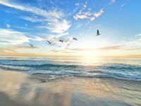 Why Ocean Economy Health Matters for Investors