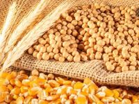 Hedge Funds and Farmers Opposed on Commodities