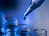 Early Innings of Biotech Rally