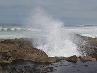 A Rising Tide and A Look at Gold