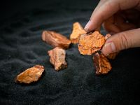 Sprott Expands Critical Minerals ETF Suite With COPP