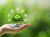 Global Indicators Point to Carbon Upswing