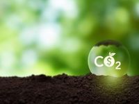 A Constructive Year for 2 Largest Carbon Markets