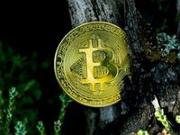 ProShares Launches 2X Leveraged/Inverse Bitcoin ETFs
