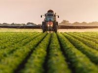 OAIA Outperforms S&P Agriculture Index